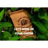 Premium Robusta Coffee Beans from Thailand (Ranong)