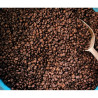 Authentic Thai Ranong Robusta Coffee Beans (500g)