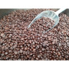 Authentic Thai Robusta Coffee Beans | Krabi & Ranong
