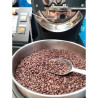 Authentic Thai Robusta Coffee Beans | Krabi & Ranong