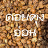 Free Grinding: Discover Doi Tung Chiang Rai Arabica Coffee in Thailand