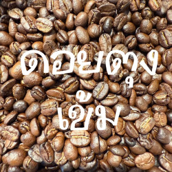 Free Grinding: Discover Doi Tung Chiang Rai Arabica Coffee in Thailand