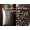 Best Thai Coffee Beans: Premium Pha Hee Arabica from Thailand