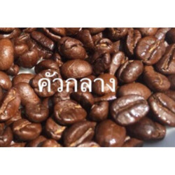 Best Thai Coffee Beans: Premium Pha Hee Arabica from Thailand