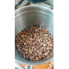 Authentic Thai Coffee: Premium AA Beans From Ban Pha Hee