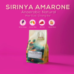 Doi Chang Sirinya Amarone: Thailand's Finest Light Roast Coffee