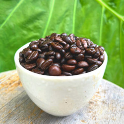 Discover Thailand's Finest Rose Walker Mickey Robusta Coffee