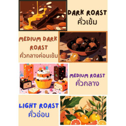 Authentic Thailand Light Roast Coffee - Chan Coffee Roasters