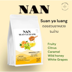 Premium Thai Nan Coffee: Grade A Arabica Roast
