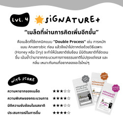 Nite Coffee: Thailand's Huaynamkuen Anaerobic Coffee Beans