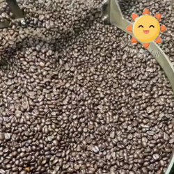 Doi Mae Salong Coffee Beans: Authentic Thai Arabica