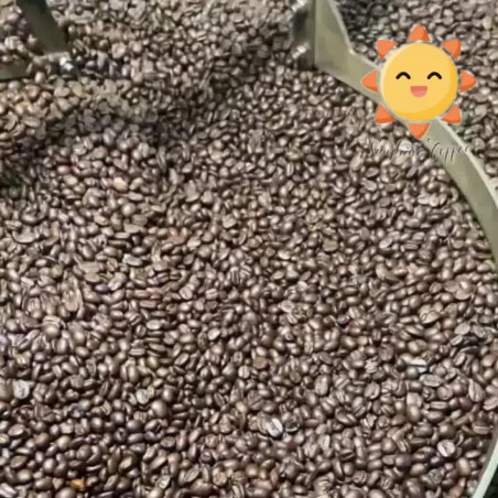 Doi Mae Salong Coffee Beans: Authentic Thai Arabica