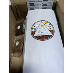 Doi Mae Salong Coffee Beans: Authentic Thai Arabica