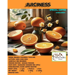 Chiang Rai Coffee: Mandarin Tangine Juiciness in Thailand