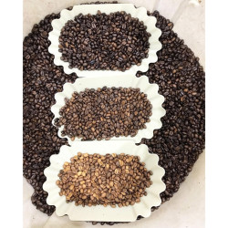 Chiang Rai Coffee: Mandarin Tangine Juiciness in Thailand