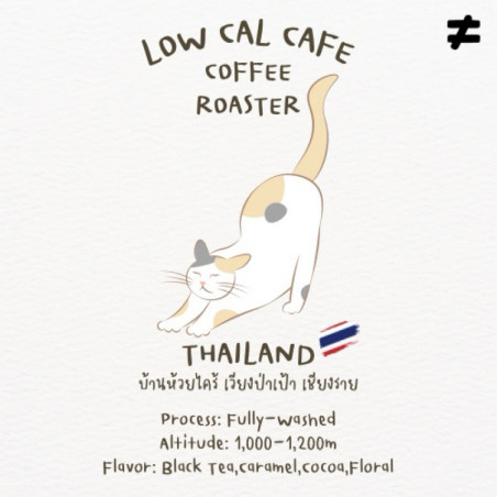 Oplev thailandske kaffebønner fra Chiang Rai
