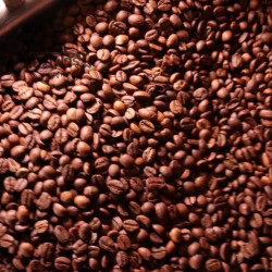 Hom Kafae Doi Pha Mi Coffee Beans - Chiang Rai, Thailand