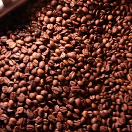 Hom Kafae Doi Pha Mi Coffee Beans - Chiang Rai, Thailand