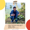 Doi Chang Coffee Beans: Explore Thailand's Finest