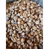 Maekok Arabica kaffebønner: Autentisk thailandsk smag