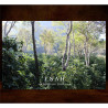 Premium Doi Chang-kaffe från Chiang Rai - Thailand