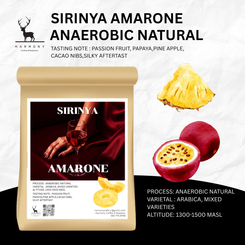 Harmony Coffee's Sirinya Amarone: Thailand's Finest Natural Roast