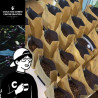 Doi Chang Coffee Beans from Thailand - Chalk & Cheese