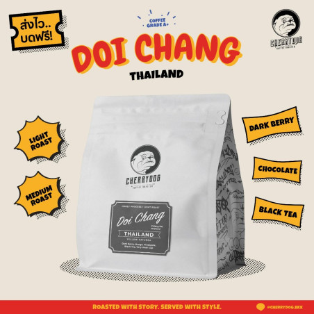 Oplev Doi Chang honningproceskaffe | Thailand