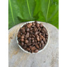 Authentic Thai Doi Chang Robusta Coffee - Presso Roasters