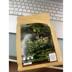 Autentiske thailandske kaffebønner: Pha Tang og Phu Chi Duan ristning
