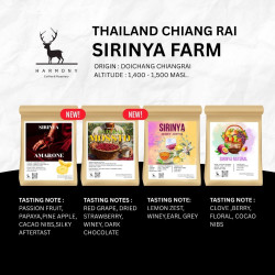 Harmony Coffee: Best Thai Coffee Beans from Chiang Rai's Sirinya Farm