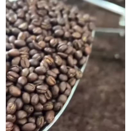 Oplev Thailands skjulte perle: Pangkhon-kaffe i Chiang Rai