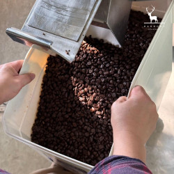 Harmony Coffee: Best Thai Coffee Beans from Chiang Rai's Sirinya Farm