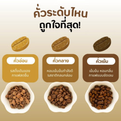 Caffè Chiang Rai: assaggia i chicchi appena tostati della Thailandia