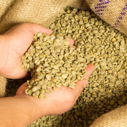 Pangkhon-kaffe: Søde ananassmag i Thailand