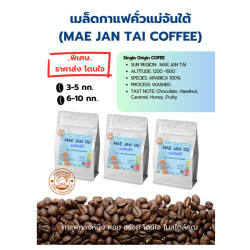 Authentic Mae Chan Tai Coffee Beans from Thailand