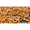 Chicchi di caffè Phu Chi Fa Honey Process - Thailandia