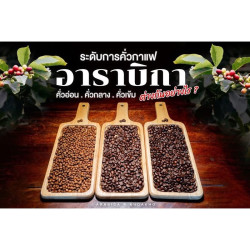 Smag autentisk thailandsk kaffe: Rabbit Valley, Doi Wawi-bønner