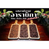 Smag autentisk thailandsk kaffe: Rabbit Valley, Doi Wawi-bønner