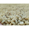 Premium Doi Chang Dark Roast Coffee (Arabica) Thailand