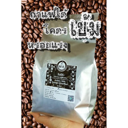Thai Robusta Coffee Beans - Freshly Roasted from Chumphon