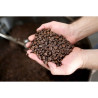 Thai Robusta Coffee Beans - Freshly Roasted from Chumphon