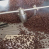 Authentic Thai Robusta Coffee: Chumphon Beans & Rich Aroma