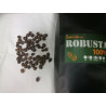 Authentic Thai Robusta Coffee Beans from Chumphon