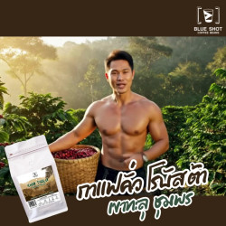 Premium Roasted Robusta Coffee from Thailand